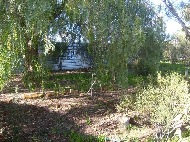 20 Morris Street, Loveday SA 5345