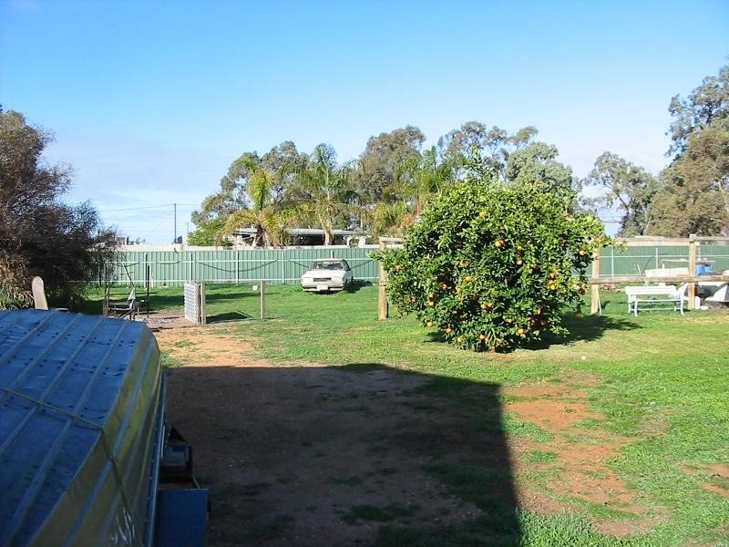 4 and 6 Mudge Street, Cobdogla SA 5346