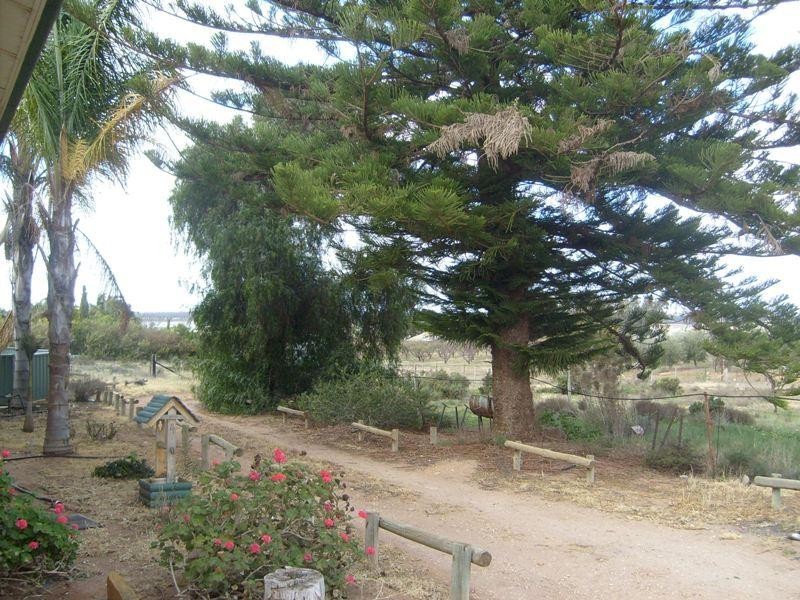 Lot 52 Kingston Loxton Road, Moorook SA 5332