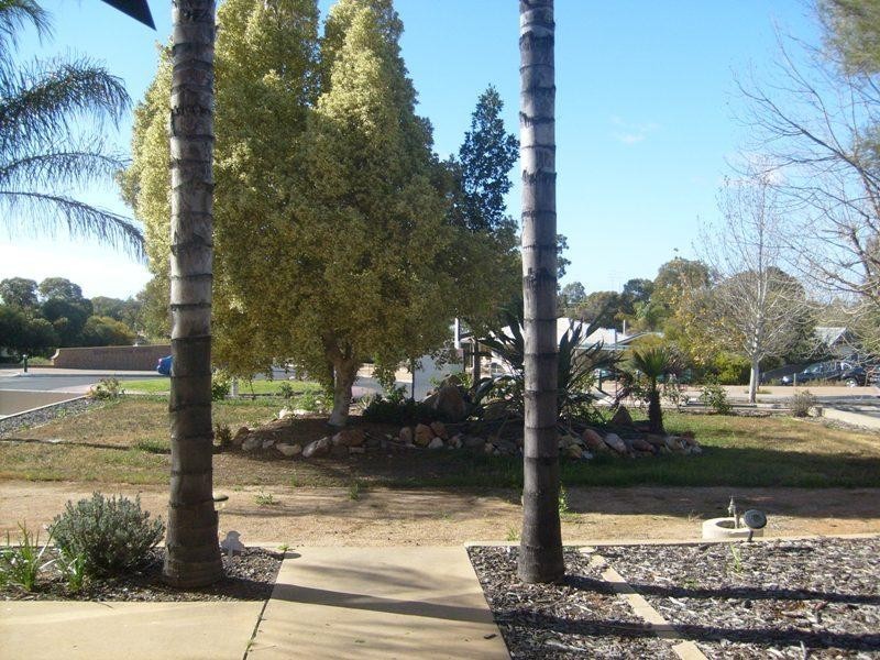 27 Kay Ave, Berri SA 5343