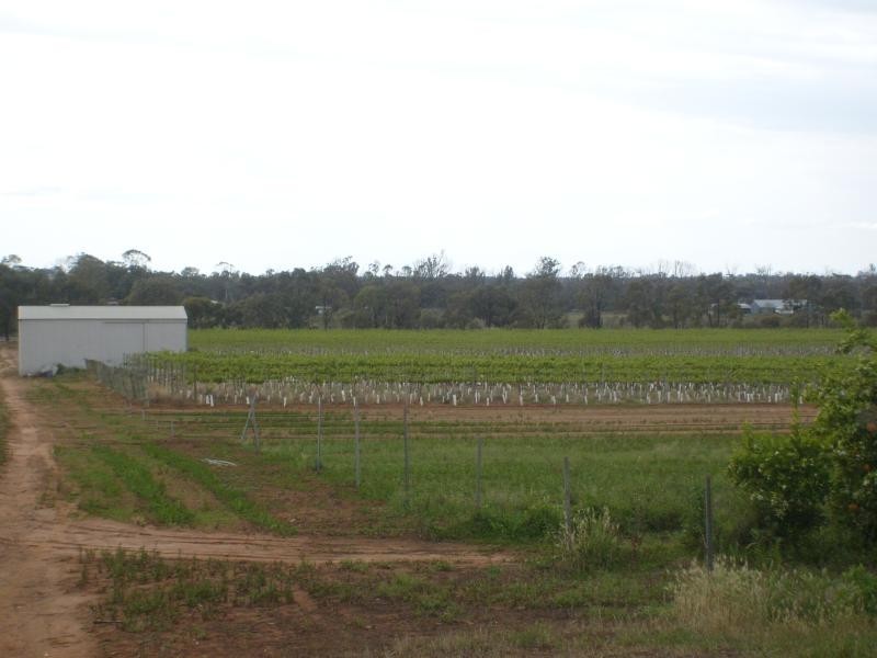 Section 96 Loxton Road, Moorook SA 5332