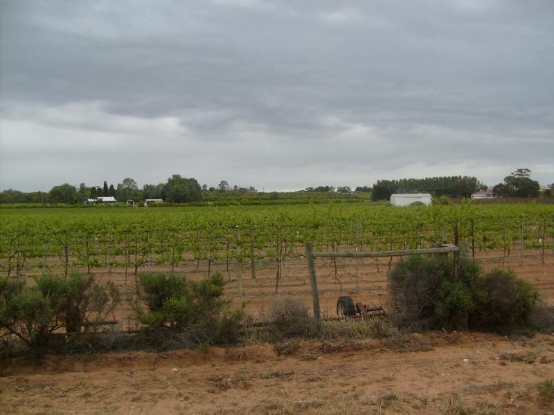 Section 96 Loxton Road, Moorook SA 5332