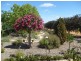 Section 855 Hunt Road, Barmera SA 5345