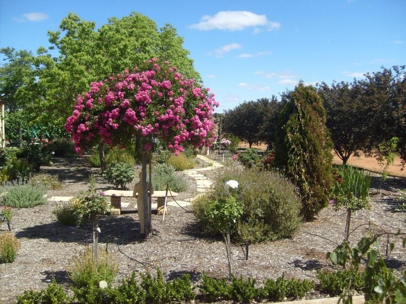 Section 855 Hunt Road, Barmera SA 5345