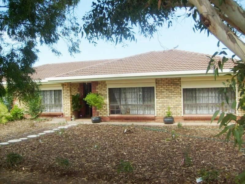 Section 571 Beames Road, Lyrup SA 5343