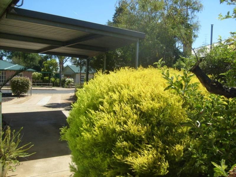 24 Mahoney Street, Berri SA 5343