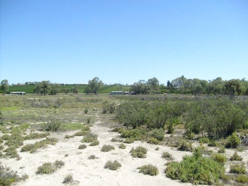 Section 595 River Terrace, Kingston On Murray SA 5331