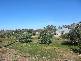 SECTION 562 STURT HIGHWAY, Cobdogla SA 5346
