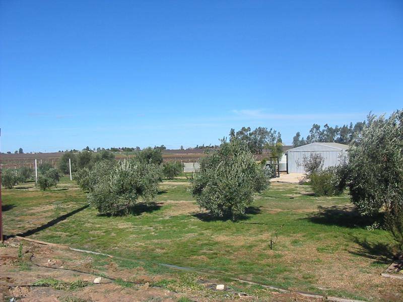 SECTION 562 STURT HIGHWAY, Cobdogla SA 5346