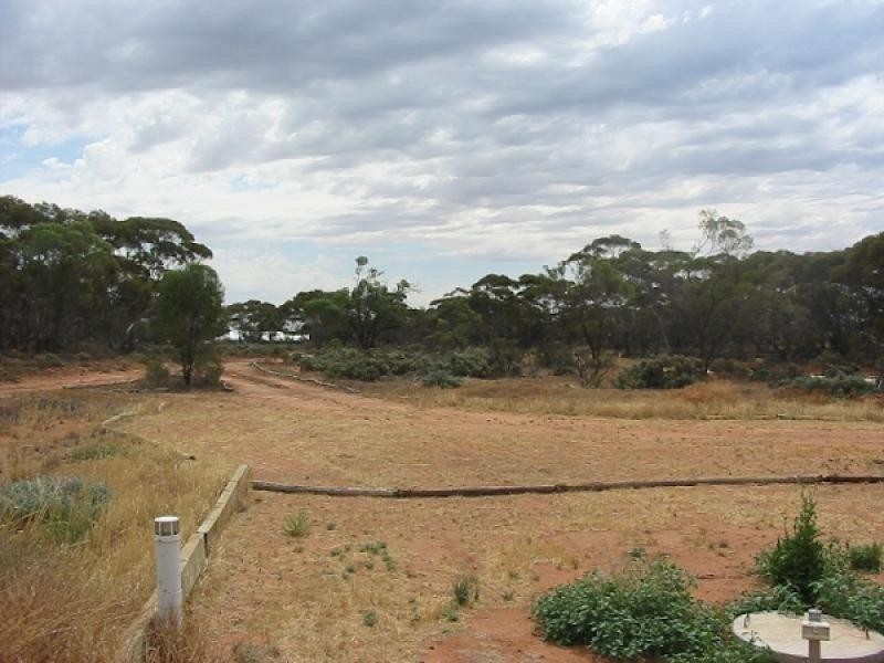 11 Chapple Road, Winkie SA 5343