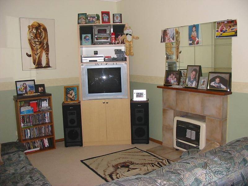 10 FARMER STREET, Barmera SA 5345