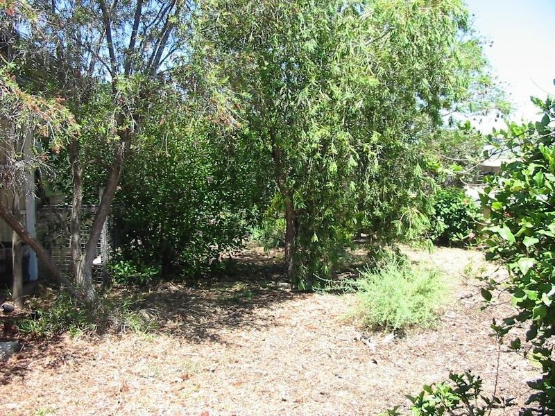 15 BICE STREET, Barmera SA 5345