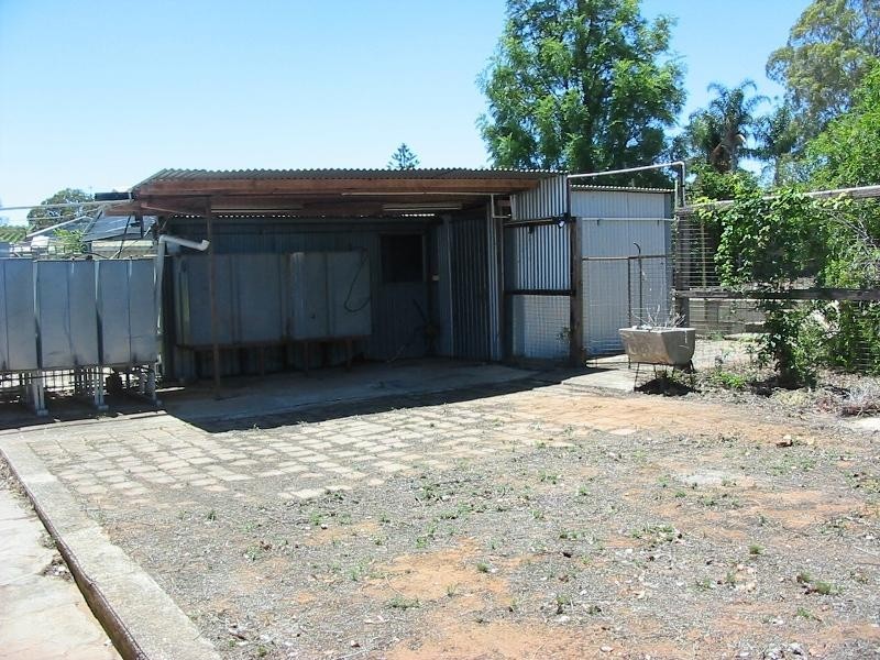 15 BICE STREET, Barmera SA 5345