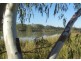 Section 589 River Terrace, Kingston On Murray SA 5331
