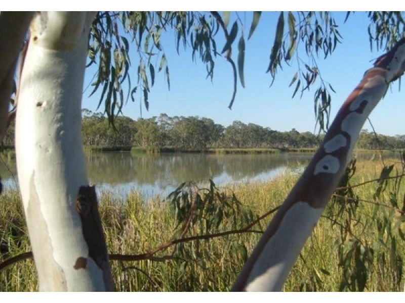 Section 589 River Terrace, Kingston On Murray SA 5331