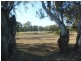 Section 589 River Terrace, Kingston On Murray SA 5331