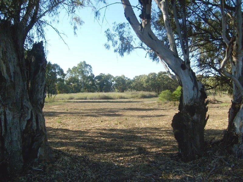 Section 589 River Terrace, Kingston On Murray SA 5331