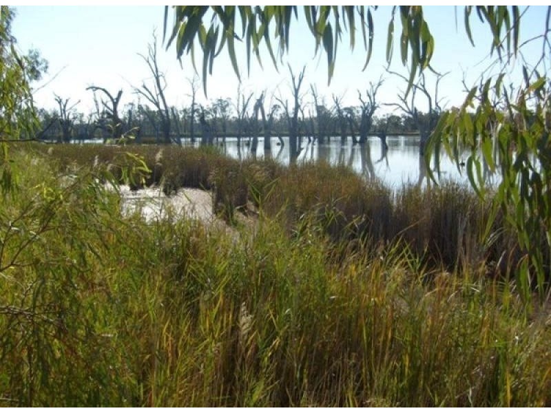 Section 589 River Terrace, Kingston On Murray SA 5331