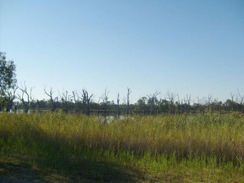 Section 589 River Terrace, Kingston On Murray SA 5331