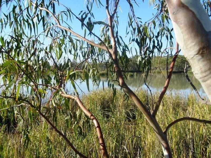 Section 589 River Terrace, Kingston On Murray SA 5331