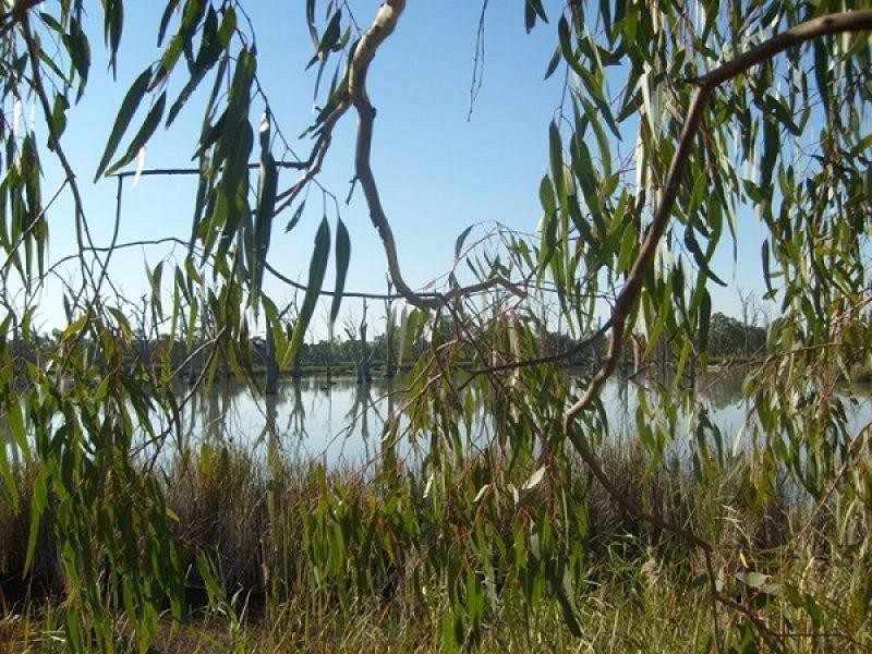 Section 589 River Terrace, Kingston On Murray SA 5331