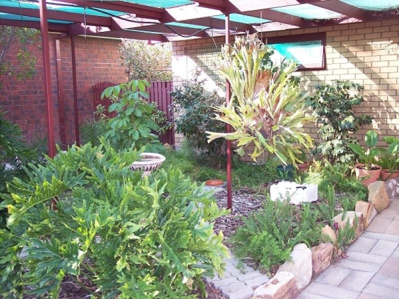 9 Fairway Avenue, Barmera SA 5345