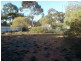 53 McGregor Street, Berri SA 5343