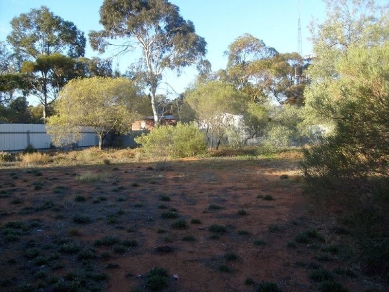 53 McGregor Street, Berri SA 5343