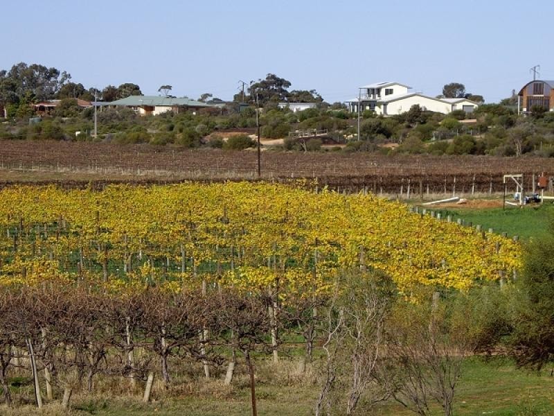 Lot 33 Farley Road, Kingston On Murray SA 5331