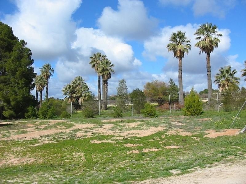 Lot 20 Sturt Highway,, Barmera SA 5345