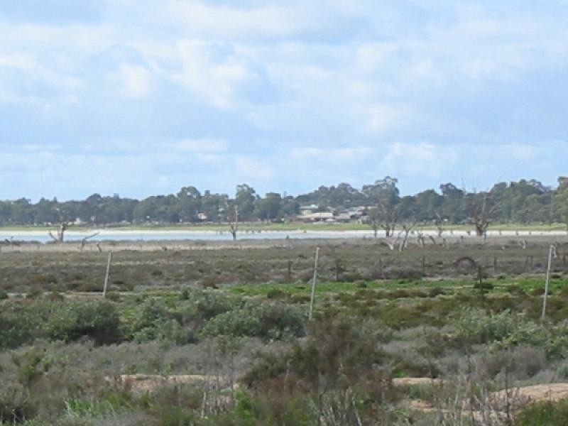 Lot 20 Sturt Highway,, Barmera SA 5345