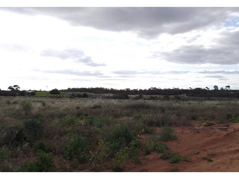 Section 75 Moss Road, Monash SA 5342