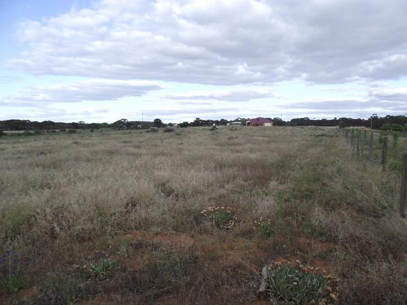 Section 75 Moss Road, Monash SA 5342