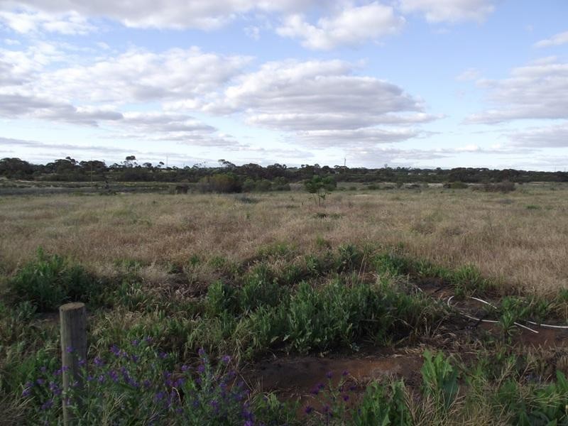 Section 75 Moss Road, Monash SA 5342