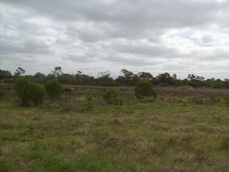 Section 75 Moss Road, Monash SA 5342