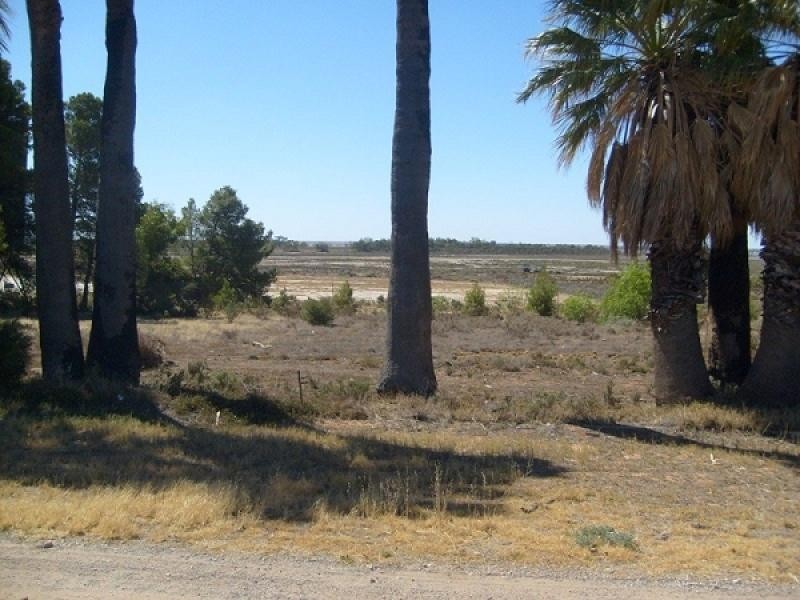 Lot 21 Sturt Highway, Barmera SA 5345