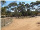 Section 962 Ellis Road, Monash SA 5342