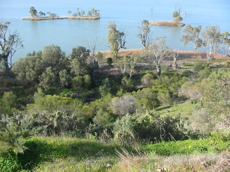 LOT 11 STURT HIGHWAY, Kingston On Murray SA 5331