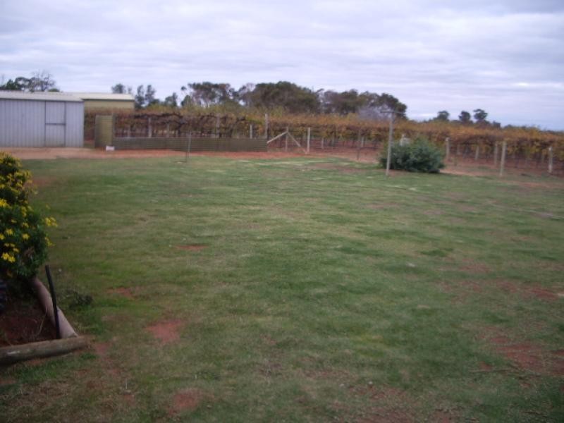 15, MAPLE STREET, Barmera SA 5345