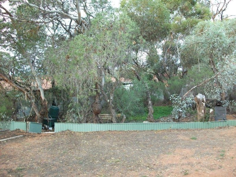 51 McGregor Street, Berri SA 5343