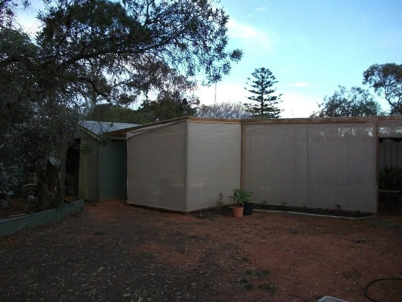 51 McGregor Street, Berri SA 5343