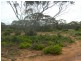 Section 320 Sturt Highway, Berri SA 5343