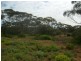 Section 320 Sturt Highway, Berri SA 5343