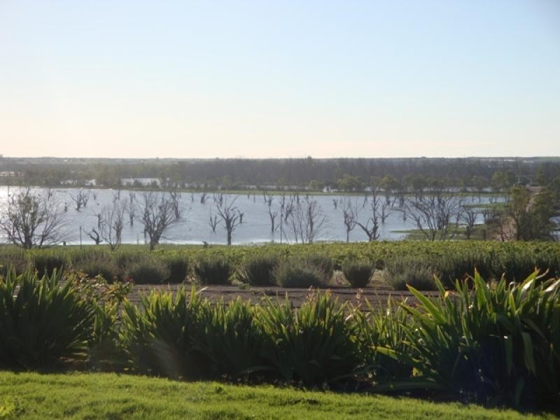 279 Loveday Road, Loveday SA 5345