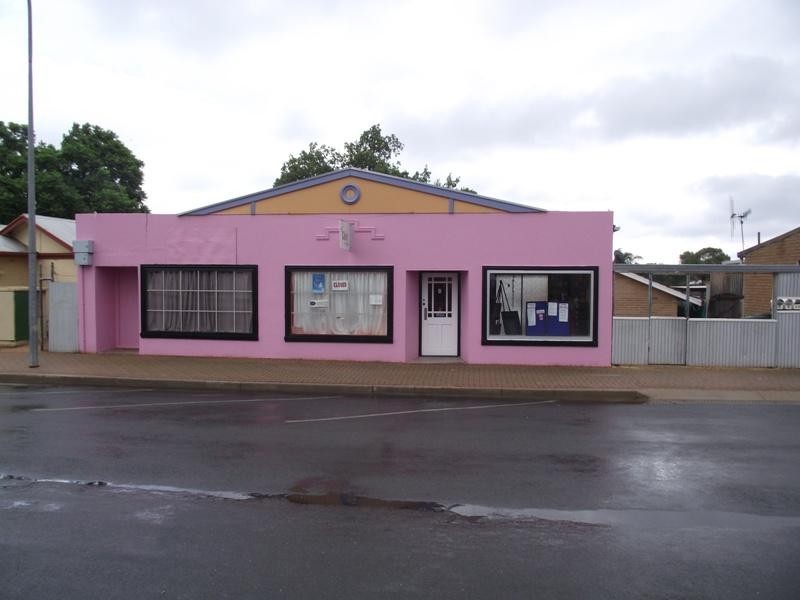 6 Bice Street, Barmera SA 5345