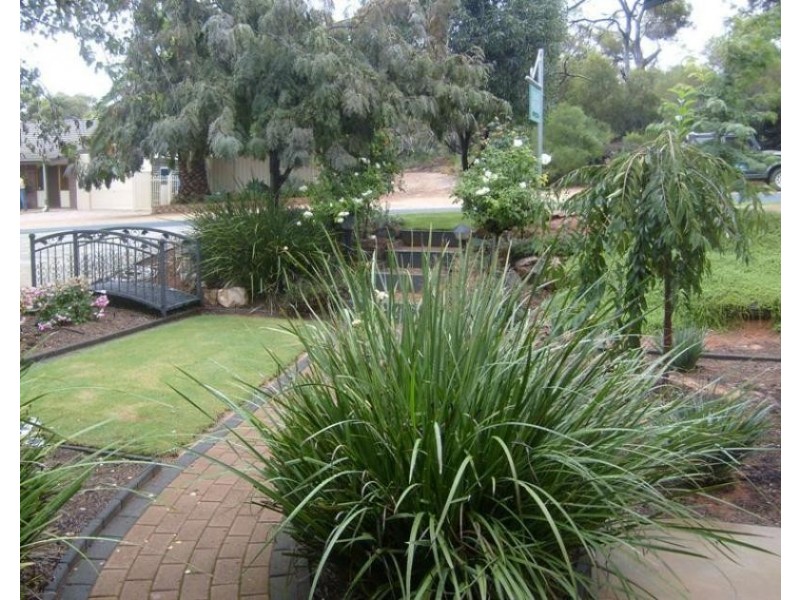 55 Derrick Street, Berri SA 5343