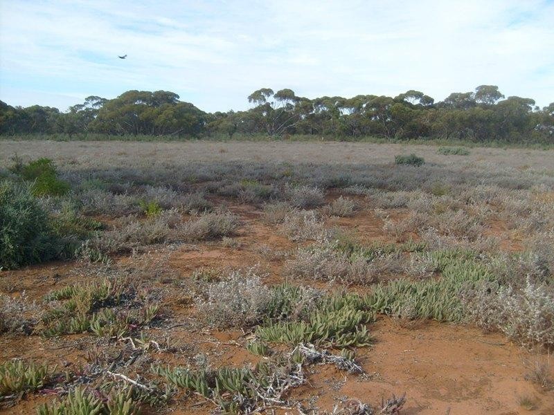 Section 559 , Sturt Highway, Monash SA 5342