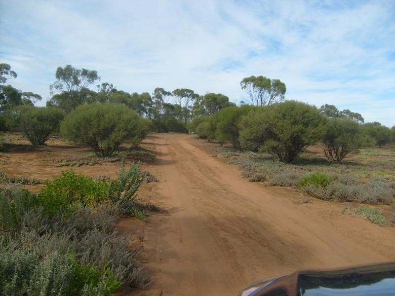 Section 559 , Sturt Highway, Monash SA 5342
