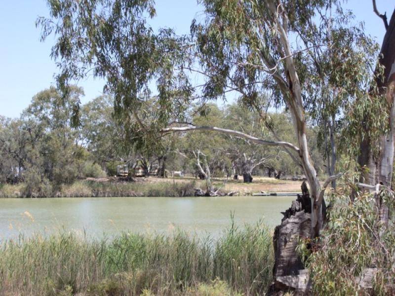 9 GOVERNMENT ROAD, Morgan SA 5320