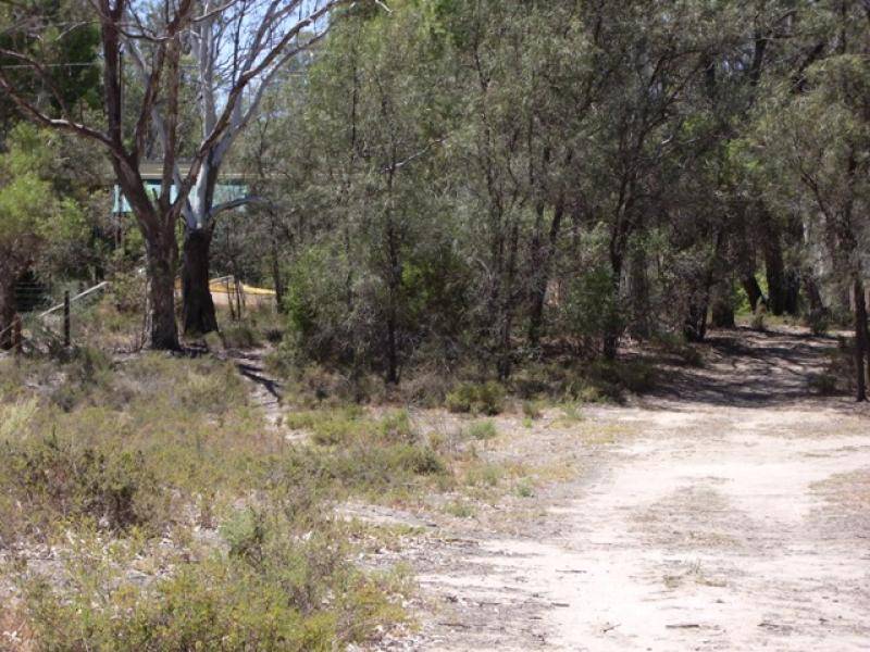 9 GOVERNMENT ROAD, Morgan SA 5320